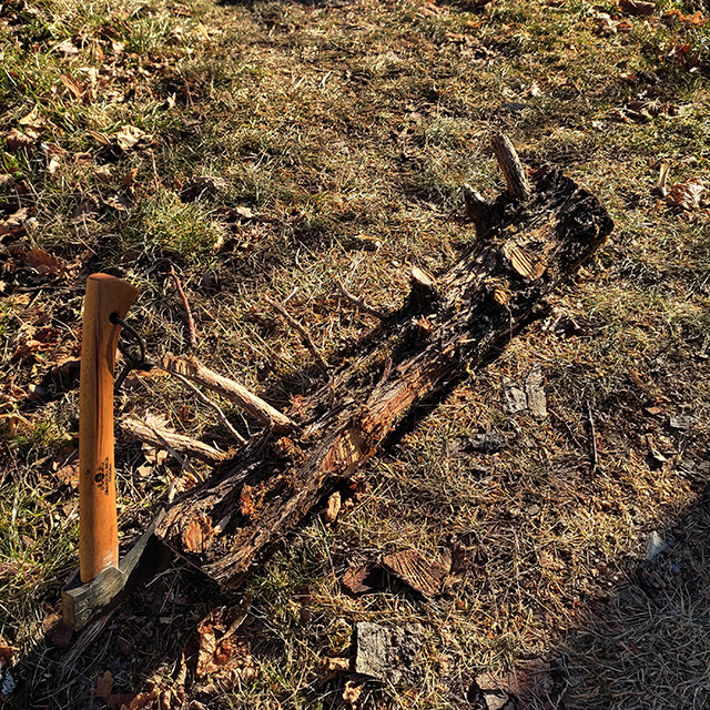 grume de bois