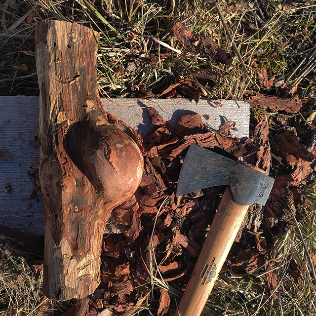 loupe de bois